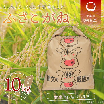 【ふるさと納税】千葉県産「ふさこがね」玄米10kg（10kg×1袋） ふるさと納税 玄米 10kg 千葉県産 大網白里市 ふさこがね 米 こめ 送料無料 A012