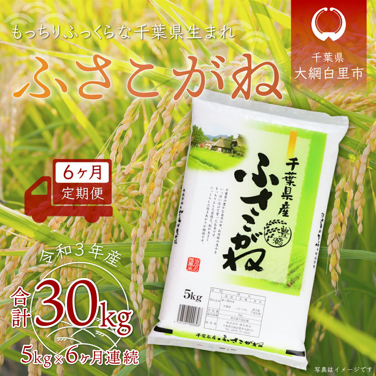 【ふるさと納税】＜6ヶ月定期便＞千葉県産「ふさこがね」5kg×6ヶ月連続 計30kg ふるさと納税 米 お米 定期便 5kg 6カ月 30kg 千葉県産 大網白里市 ふさこがね 精米 こめ 送料無料 A021