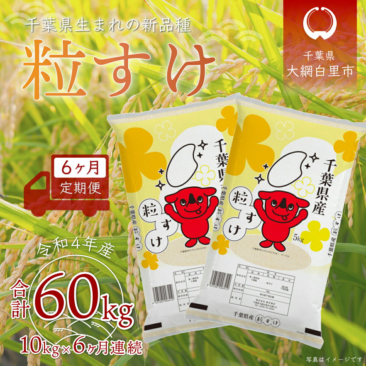 【ふるさと納税】＜6ヶ月定期便＞千葉県産「粒すけ」10kg×6ヶ月連続 計60kg ふるさと納税 米 定期便 10kg 粒すけ 千葉県 大網白里市 送料無料 A032