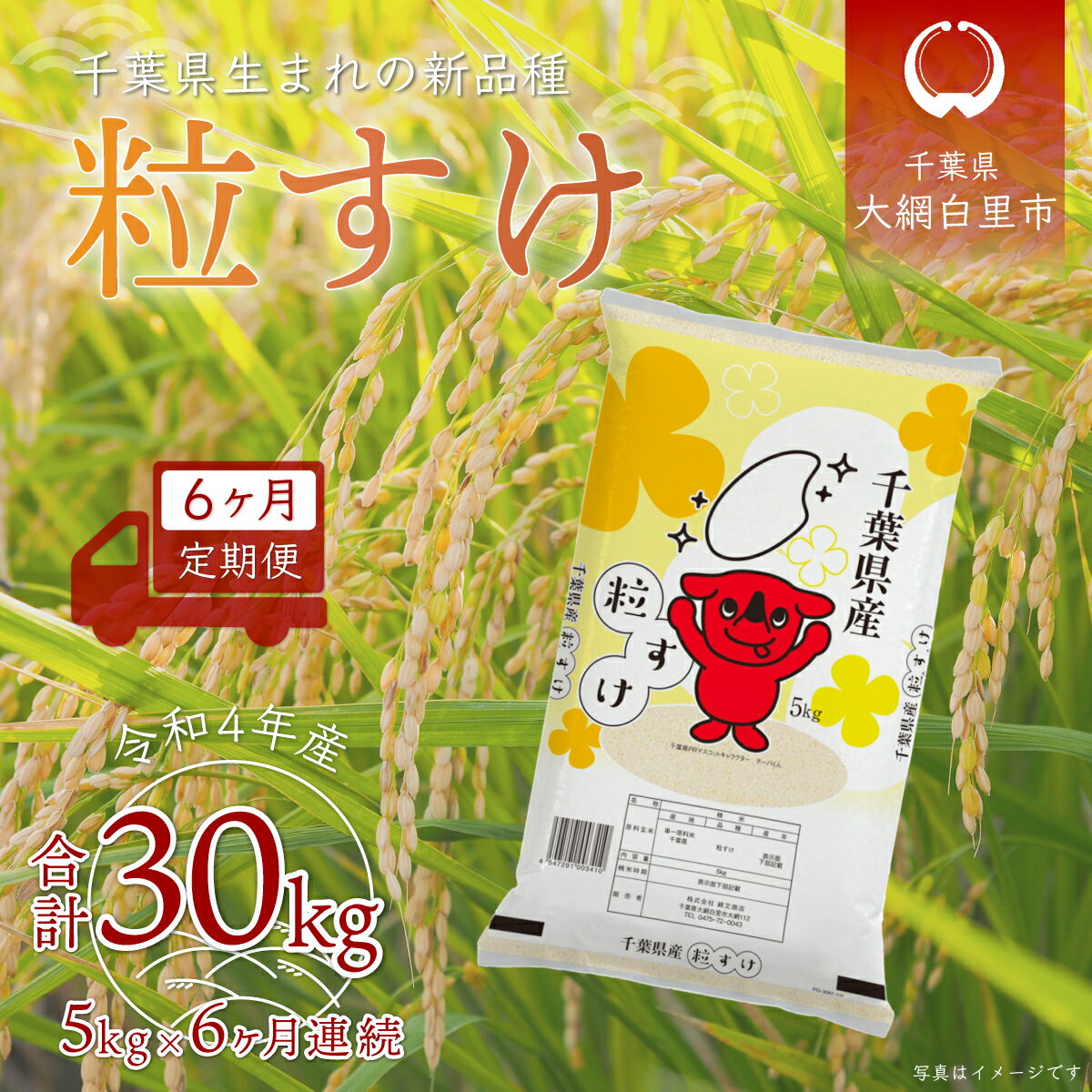 【ふるさと納税】＜6ヶ月定期便＞千葉県産「粒すけ」5kg×6ヶ月連続 計30kg ふるさと納税 米 定期便 5kg 粒すけ 千葉県 大網白里市 送料無料 A030