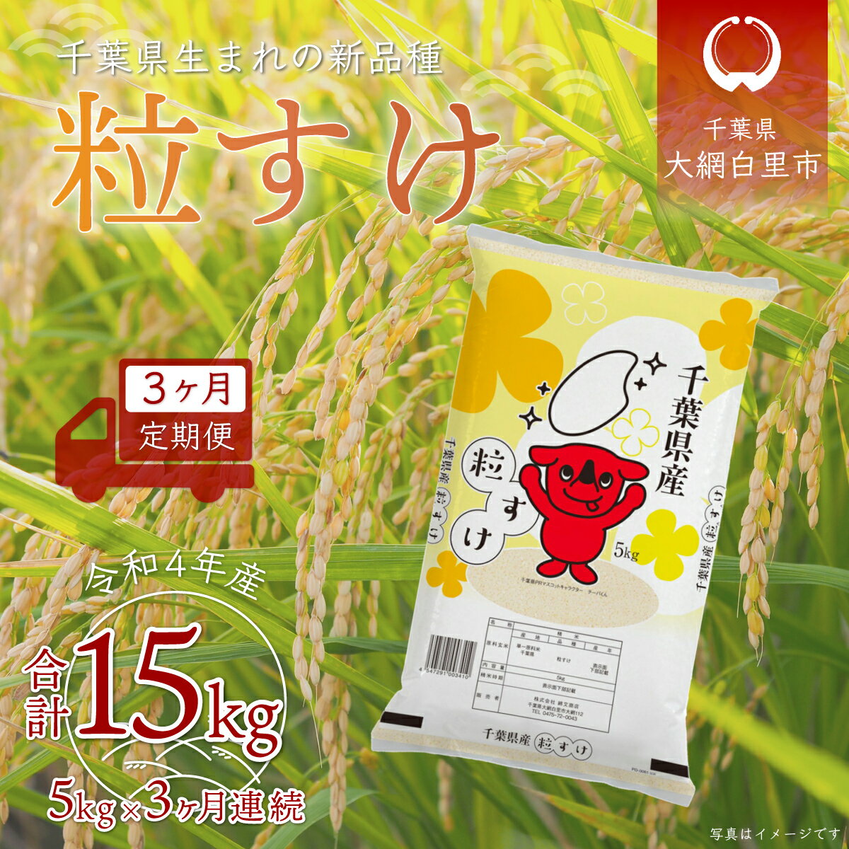 【ふるさと納税】＜3ヶ月定期便＞千葉県産「粒すけ」5kg×3ヶ月連続 計15kg ふるさと納税 米 定期便 5kg 粒すけ 千葉県 大網白里市 送料無料 A029