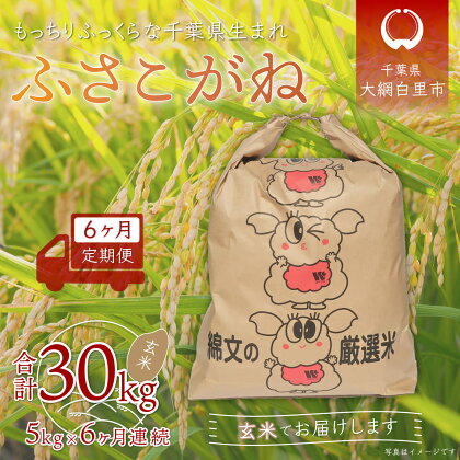 ＜6ヶ月定期便＞千葉県産「ふさこがね」玄米5kg×6ヶ月連続 計30kg ふるさと納税 玄米 定期便 5kg ふさこがね 千葉県 大網白里市 送料無料 A017