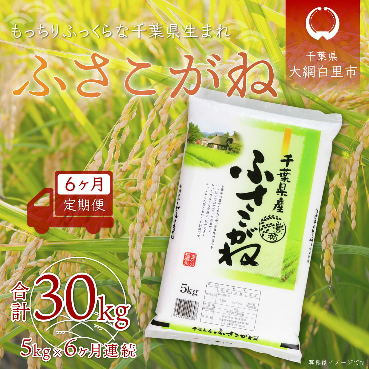 【ふるさと納税】＜6ヶ月定期便＞千葉県産「ふさこがね」5kg×6ヶ月連続 計30kg ふるさと納税 米 定期便 5kg 6カ月 ふさこがね 千葉県 大網白里市 送料無料 A021