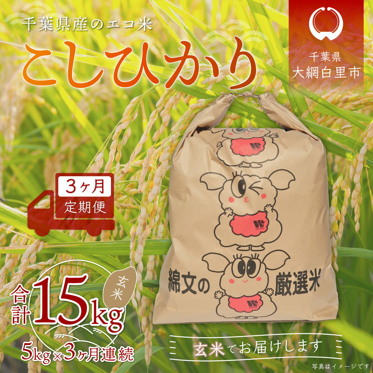 【ふるさと納税】＜3ヶ月定期便＞千葉県産エコ米「コシヒカリ」玄米5kg×3ヶ月連続 計15kg ふるさと納...