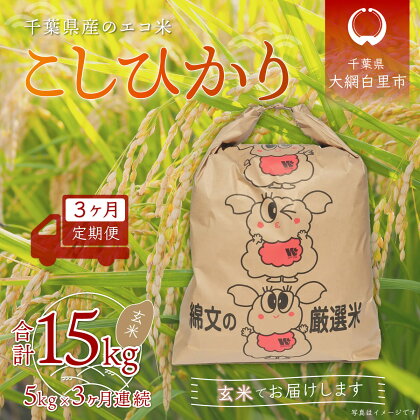 ＜3ヶ月定期便＞千葉県産エコ米「コシヒカリ」玄米5kg×3ヶ月連続 計15kg ふるさと納税 玄米 定期便 5kg コシヒカリ エコ米 米 千葉県 大網白里市 送料無料 A018