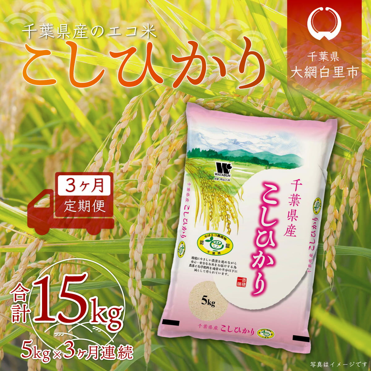 [3ヶ月定期便]千葉県産エコ米「コシヒカリ」5kg×3ヶ月連続 計15kg ふるさと納税 米 定期便 5kg コシヒカリ エコ米 千葉県 大網白里市 送料無料