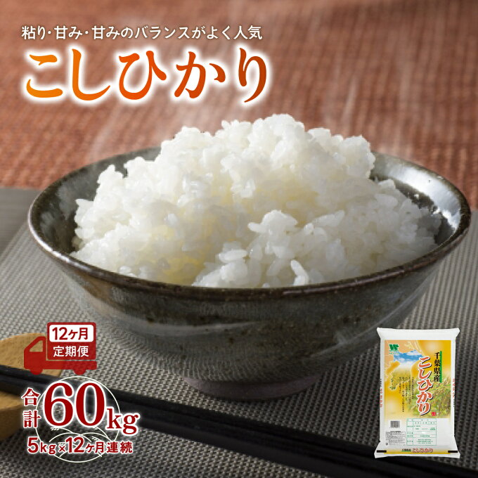 【ふるさと納税】＜12ヶ月定期便＞千葉県産「コシヒカリ」5kg×12ヶ月連続 計60kg ふるさと納税 米 定期便 5kg コシヒカリ 千葉県 大網白里市 送料無料 A033