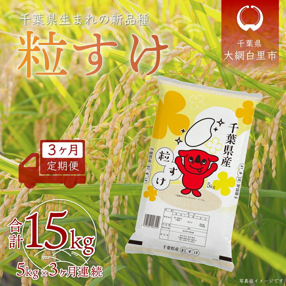 【ふるさと納税】＜3ヶ月定期便＞千葉県産「粒すけ」5kg×3ヶ月連続 計15kg ふるさと納税 米 定期便 5kg 3カ月 粒すけ 千葉県 大網白里市 送料無料 A029