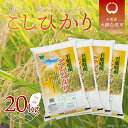 【ふるさと納税】令和5年産 千葉県産「コシヒカリ」20kg（