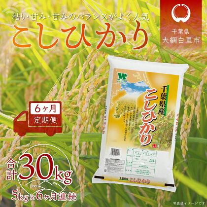 ＜6ヶ月定期便＞千葉県産「コシヒカリ」5kg×6ヶ月連続 計30kg ふるさと納税 米 定期便 5kg 6カ月 コシヒカリ 千葉県 大網白里市 送料無料 A026