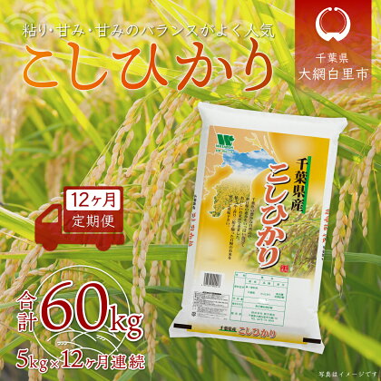 ＜12ヶ月定期便＞千葉県産「コシヒカリ」5kg×12ヶ月連続 計60kg ふるさと納税 米 定期便 5kg コシヒカリ 千葉県 大網白里市 送料無料 A033