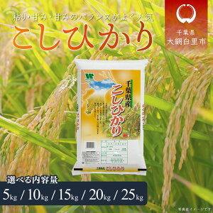 【ふるさと納税】令和6年産 千葉県産「コシヒカリ」選べる 5kg〜20kg(5kg×1袋〜4袋)お米 千葉県産 大網白里市 米 精米 こめ 白米 ご飯 千葉県産米 10kg 15kg 20kg 10キロ 15キロ 20キロ