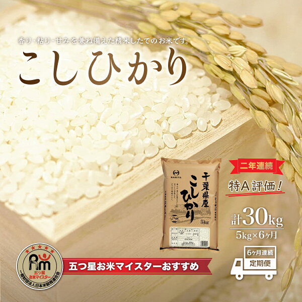 【ふるさと納税】＜6ヶ月定期便＞2年連続特A評価！千葉県産コシヒカリ5kg×6ヶ月連続 計30kg ふるさと納税 米 お米 定期便 5kg 6カ月 30kg 千葉県産 大網白里市 コシヒカリ 精米 こめ 送料無料 E012