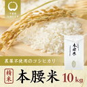 人気ランキング第24位「千葉県大網白里市」口コミ数「0件」評価「0」本腰米10kg 精米 千葉県産コシヒカリ 農薬不使用 お米 10kg 千葉県産 大網白里市 コシヒカリ 農薬不使用 米 精米 こめ 送料無料 F003