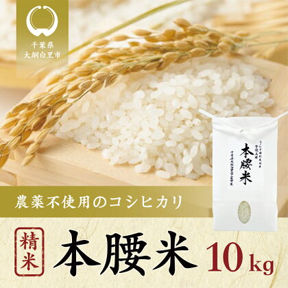 本腰米10kg 精米 千葉県産コシヒカリ 農薬不使用 お米 10kg 千葉県産 大網白里市 コシヒカリ 農薬不使用 米 精米 こめ 送料無料 F003