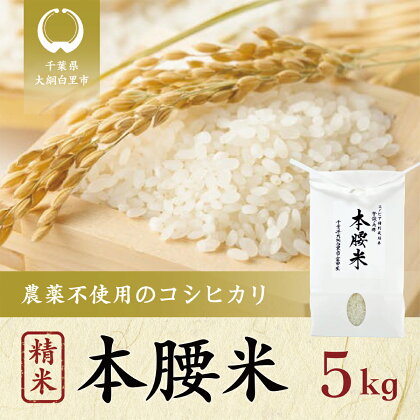 本腰米5kg 精米 千葉県産コシヒカリ 農薬不使用 お米 5kg 千葉県産 大網白里市 コシヒカリ 農薬不使用 米 精米 こめ 送料無料 F002