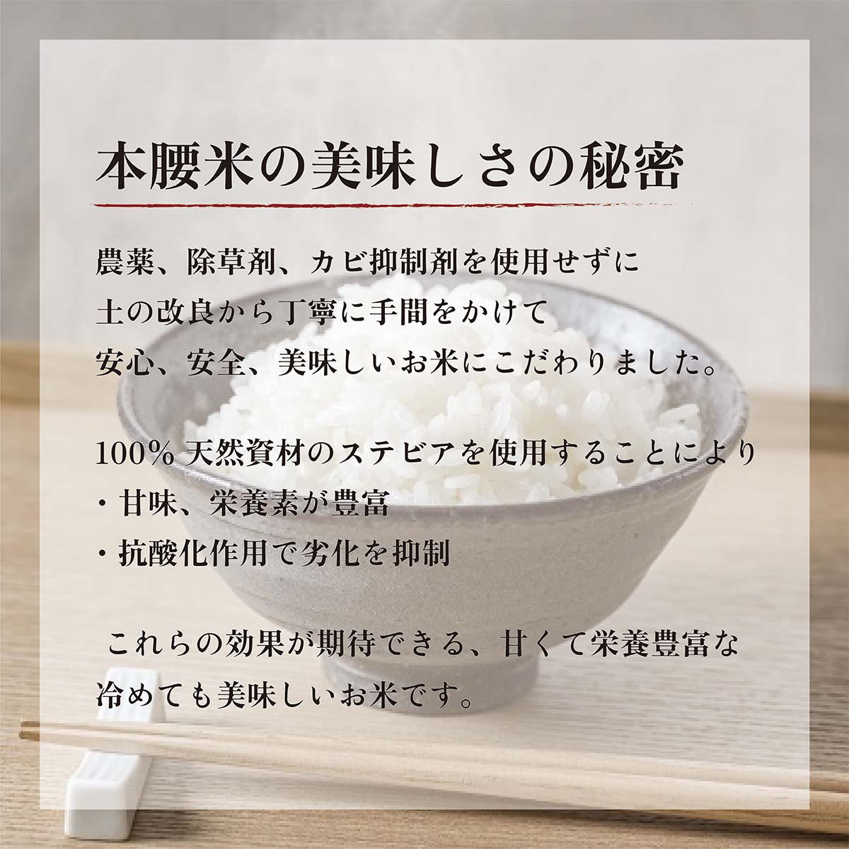 【ふるさと納税】本腰米10kg 玄米 千葉県産コシヒカリ 農薬不使用 お米 10kg 千葉県産 大網白里市 コシヒカリ 農薬不使用 米 玄米 こめ 送料無料 F006