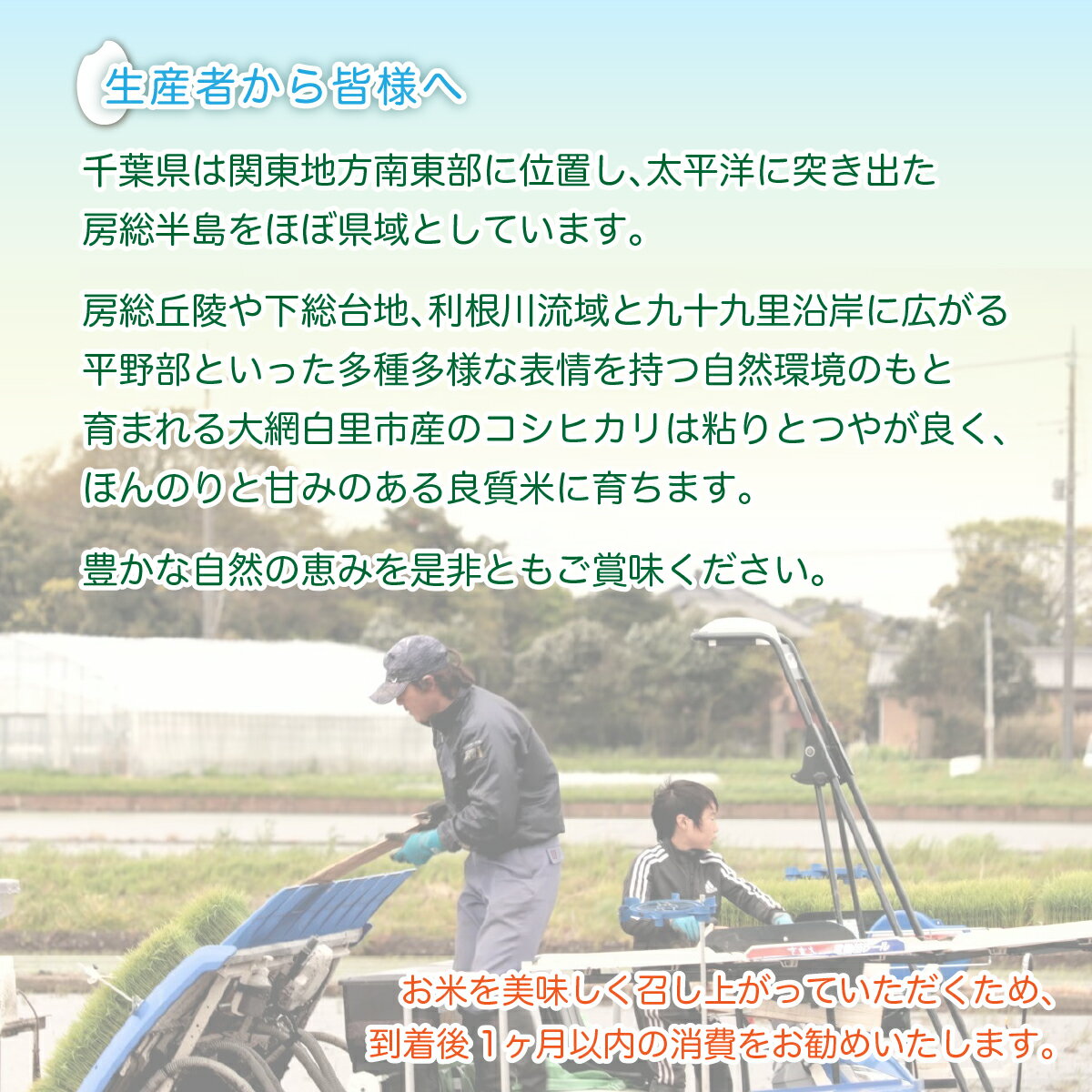 【ふるさと納税】令和5年産 千葉県産コシヒカリ(精米)20kg[5kg×4袋] お米 20kg 千葉県産 大網白里市 コシヒカリ 米 精米 こめ 送料無料 G003