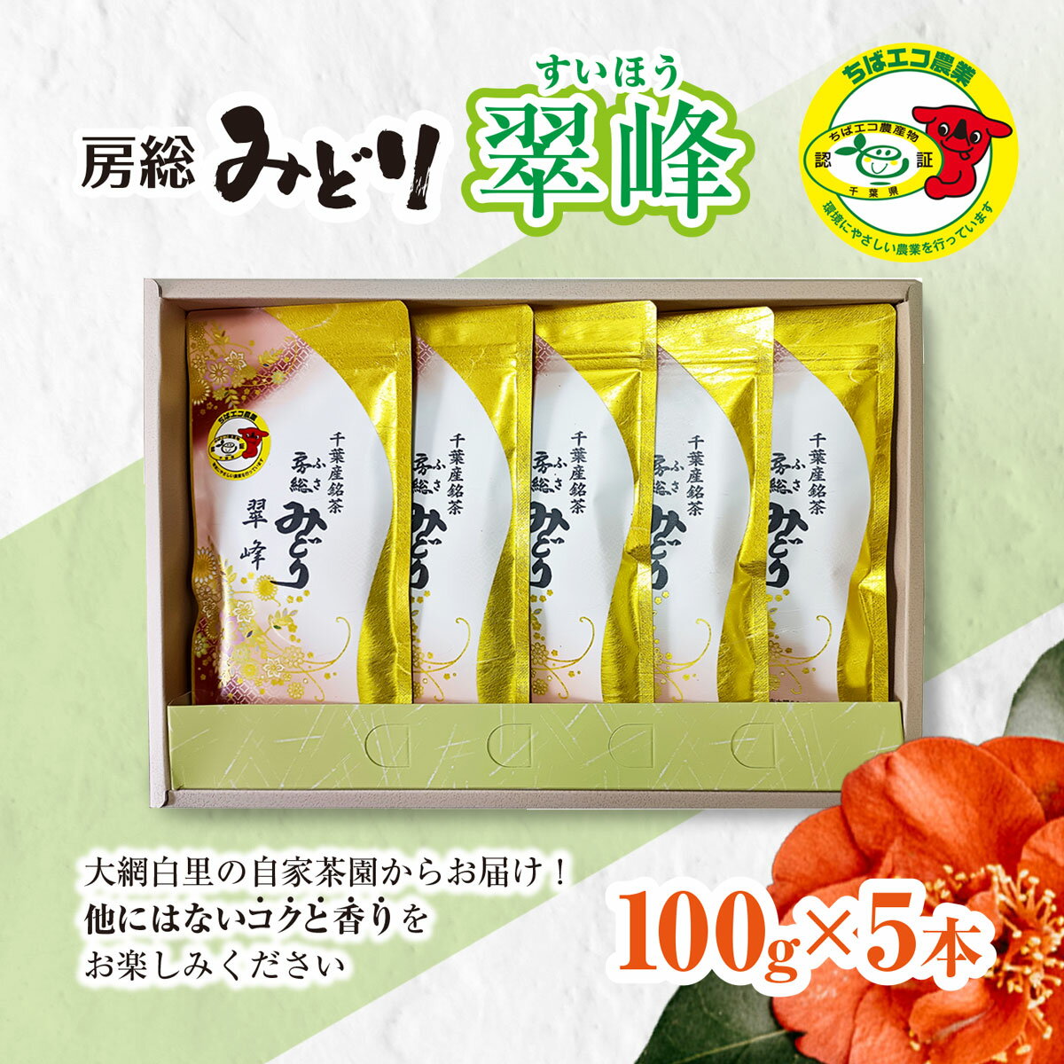 【ふるさと納税】【ちばエコ農産物
