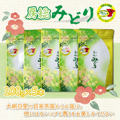 【ちばエコ農産物認証茶葉】房総みどり5本セット お茶 緑茶 日本茶 茶葉 千葉県産 大網白里市 ちばエコ農産物 送料無料 H001