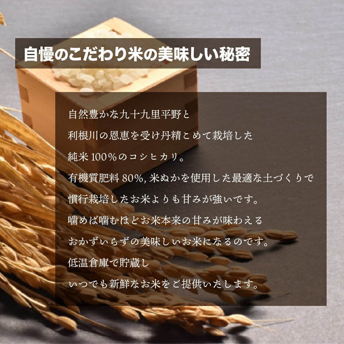 【ふるさと納税】千葉県 大網白里市産 こだわり米（コシヒカリ）20kg（5kg×4袋） お米 20kg 千葉県産 大網白里市 コシヒカリ 米 精米 こめ 送料無料 J006