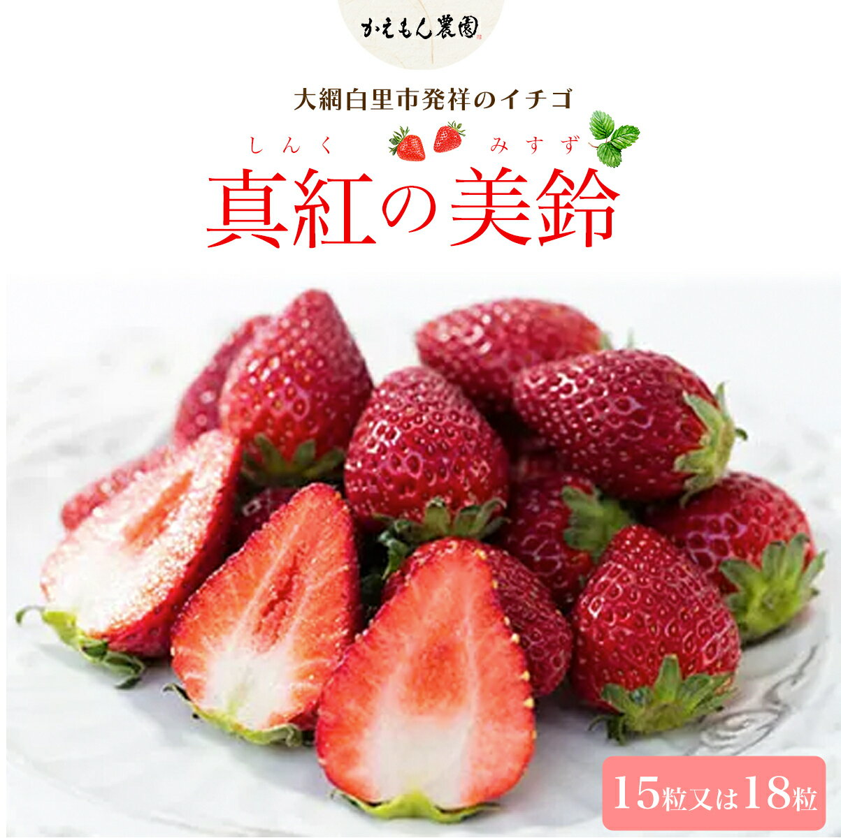 【ふるさと納税】先行予約【2025年12月中旬より順次発送】大網白里市発祥のイチゴ「真紅の美鈴」15粒又は18粒 いちご イチゴ 苺 希少 甘い 深紅 真紅の美鈴 黒いちご 黒イチゴ ギフト 千葉県 大網白里市 思いやり型返礼品 M005