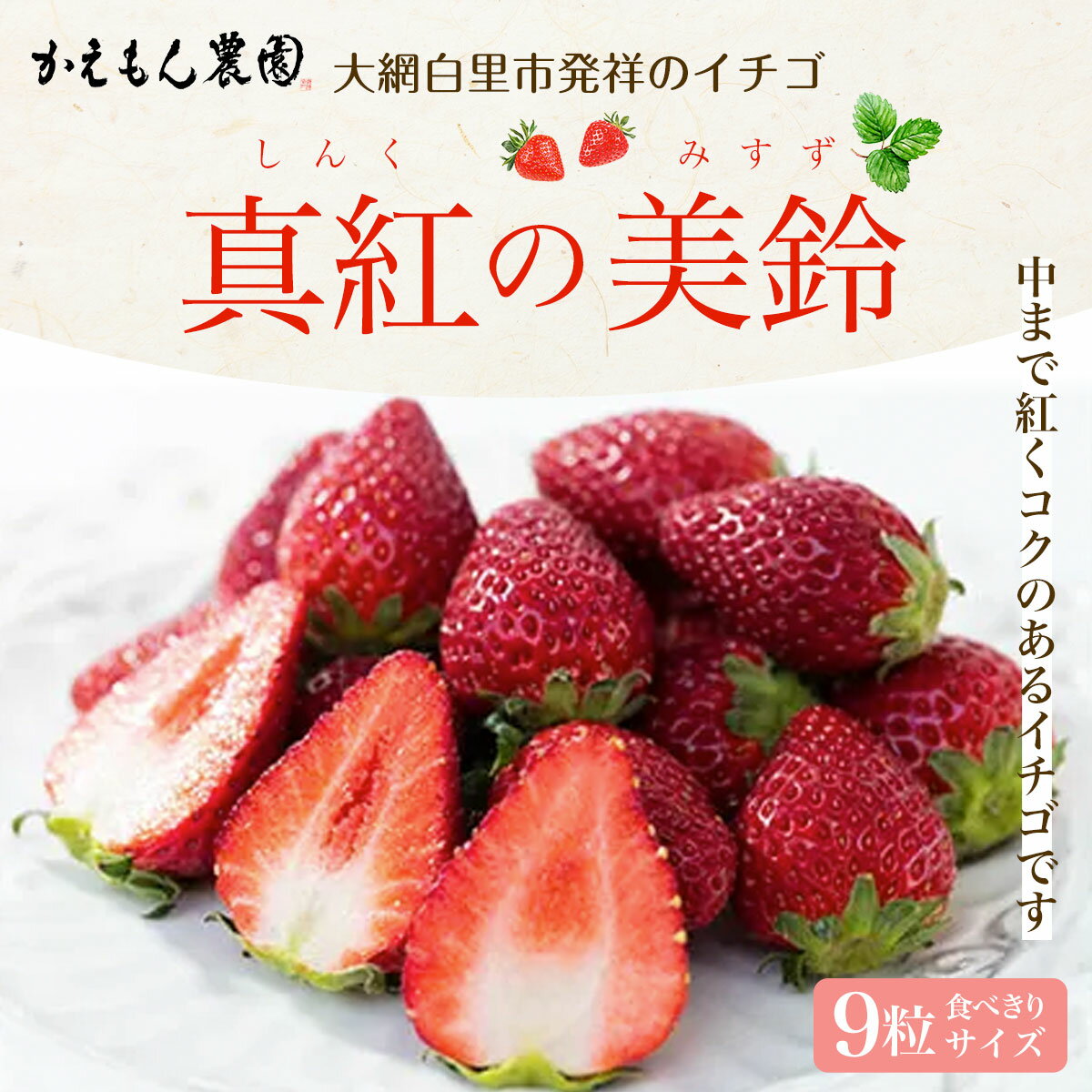 【ふるさと納税】 大網白里市発祥のイチゴ「真紅の美鈴」9粒 食べきりサイズ いちご イチゴ 苺 希少 甘い 深紅 真紅の美鈴 ギフト 黒いちご 黒イチゴ 千葉県 大網白里市 送料無料 M006