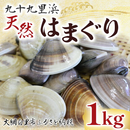 九十九里浜　天然はまぐり　1kg【厳選】ふるさと納税 はまぐり ハマグリ 蛤 天然 九十九里産 国産 ひな祭り 節句 おせち 千葉県 大網白里市 送料無料 P001