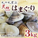 【ふるさと納税】 九十九里浜　天然はまぐり　3kg【厳選】ふるさと納税 はまぐり ハマグリ 蛤 天然 九十九里産 国産 ひな祭り 節句 おせち 千葉県 大網白里市 送料無料 P002