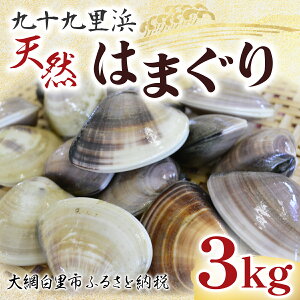 【ふるさと納税】九十九里浜　天然はまぐり　3kg【厳選】 ふるさと納税 はまぐり ハマグリ 蛤 天然 九十九里産 国産 千葉県 大網白里市 送料無料 P002