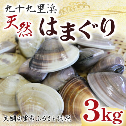 九十九里浜　天然はまぐり　3kg【厳選】ふるさと納税 はまぐり ハマグリ 蛤 天然 九十九里産 国産 ひな祭り 節句 おせち 千葉県 大網白里市 送料無料 P002