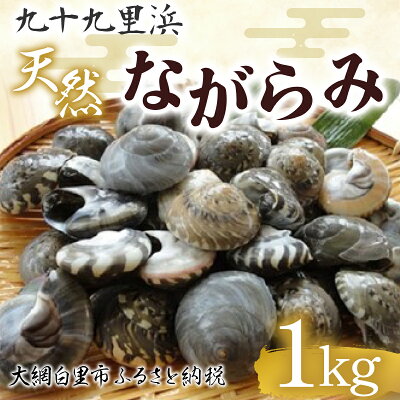 楽天ふるさと納税　【ふるさと納税】 九十九里浜　天然ながらみ　1kg【名産】ふるさと納税 ながらみ 幻の貝 九十九里産 貝 国産 千葉県 大網白里市 送料無料 P005