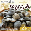 【ふるさと納税】 九十九里浜　天然ながらみ　2kg【名産】ふるさと納税 ながらみ 幻の貝 九十九里産 貝 国産 千葉県 大網白里市 送料無料 P006