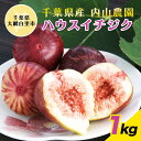 【ふるさと納税】【数量・期間限定】千葉県産 ハウスイチジク 1kg ふるさと納税 イチジク いちじく 無花果 ハウス栽培 果物 千葉県 大網白里市 送料無料 A...