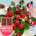 【ふるさと納税】 【2024年1月発送開始】＜旬のいちご＞2種食べ比べ（大サイズ）ふるさと納税 いち ...