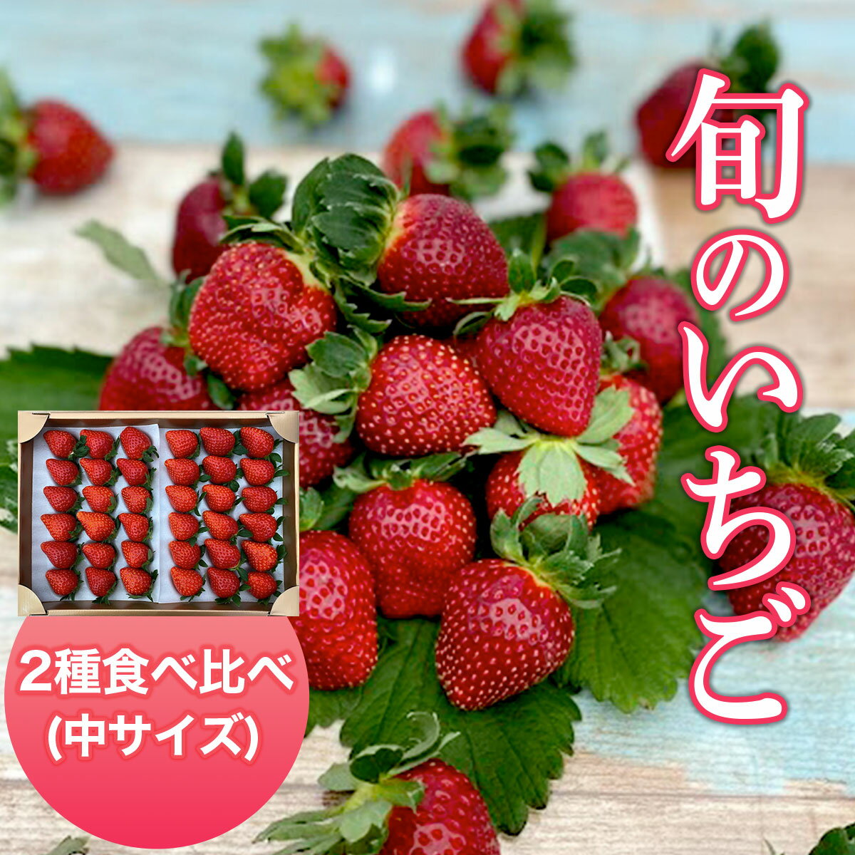 [2024年1月発送開始][旬のいちご]2種食べ比べ(中サイズ)ふるさと納税 いちご 苺 イチゴ 千葉 大網白里市 送料無料