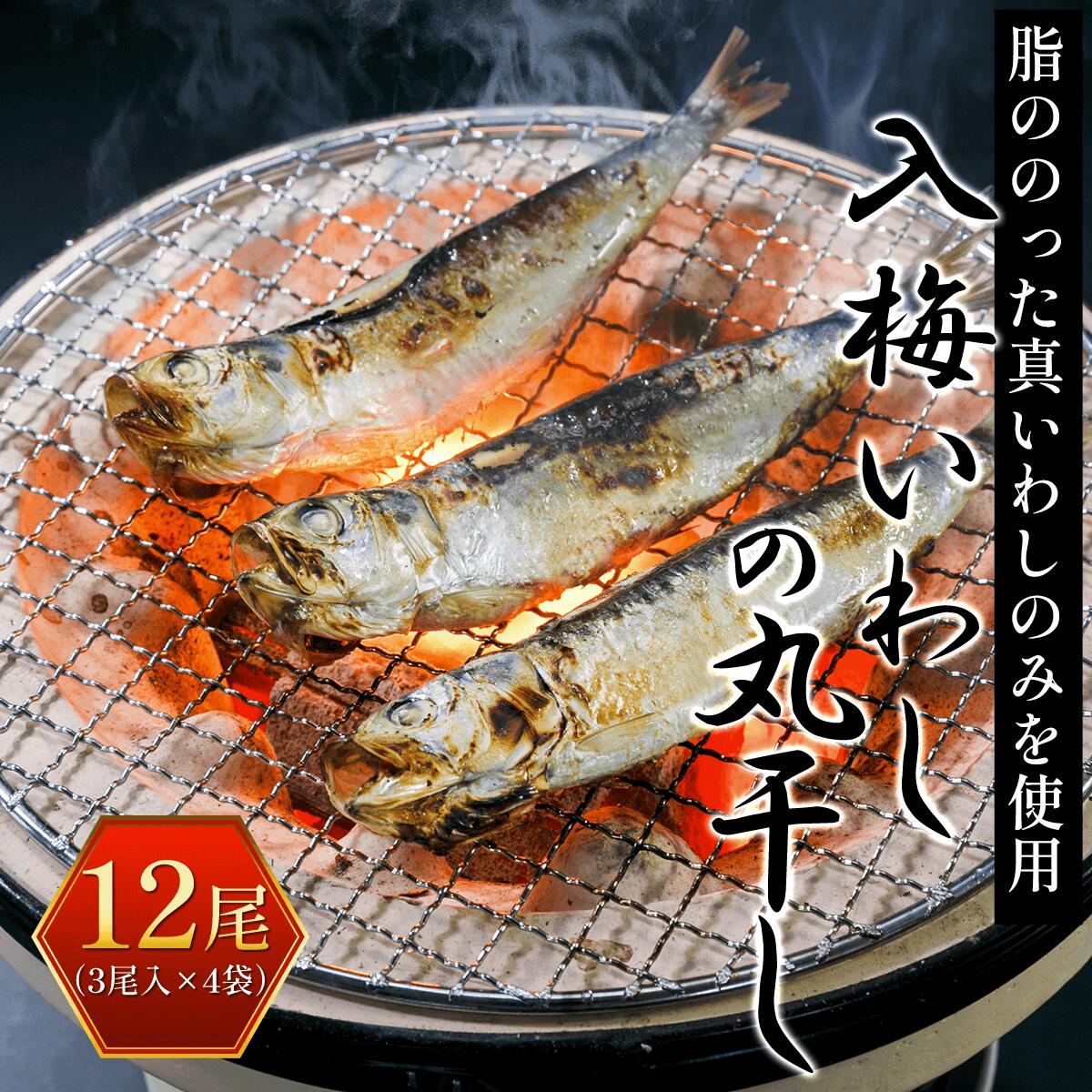 【ふるさと納税】 入梅いわしの丸干し 12尾 3尾入 4袋 ふるさと納税 いわし イワシ 鰯 魚 干物 乾物 魚介 千葉県 大網白里市 送料無料 AE001