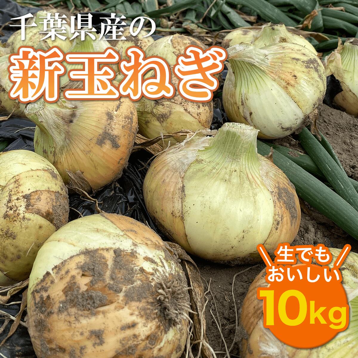 [先行受付] 千葉県産 新玉ねぎ10kg 生でもおいしい![2024年5月上旬から順次発送]玉ネギ たまねぎ タマネギ 玉葱 新玉ねぎ 野菜 千葉県 大網白里市 送料無料