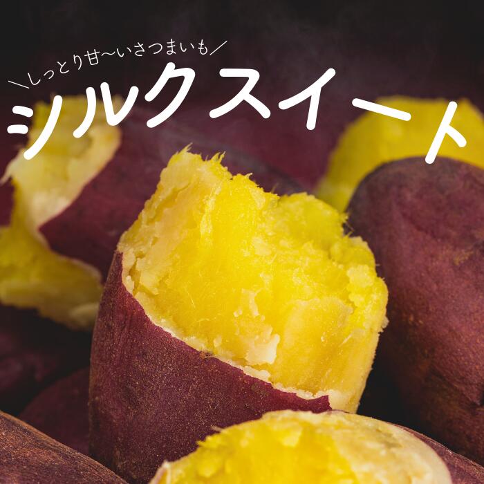 甘～いサツマイモ「シルクスイート」 先行予約 数量限定 さつまいも 10kg 5kg 産地 千葉県 酒々井町
