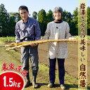 【ふるさと納税】農家直送 ！ 栄養満点 ！ 岩澤さんちの美味しい 自然薯 1.5kg 天然 産地直送 千葉 酒々井