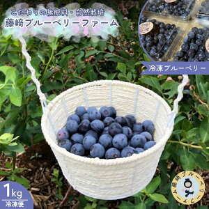 【ふるさと納税】冷凍 ブルーベリー 1kg 国産ブルーベリー 千葉県産 酒々井町産 自然栽培 小分けパック 藤崎ブルーベリー 送料無料