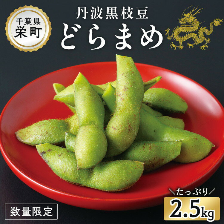 【ふるさと納税】栄町の特産品　どらまめ枝豆2.5kg　数量限定　※2025年10月中旬～10月下旬頃に順次発送予定　※沖縄・離島への配送不可｜枝豆 えだまめ 数量限定 おつまみ お弁当 健康 13-9 黒枝豆のサムネイル