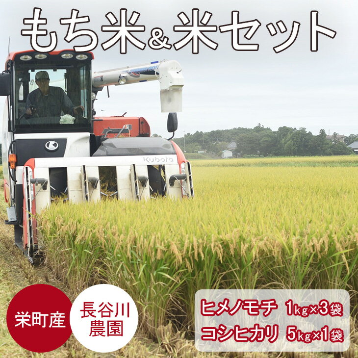 【ふるさと納税】10-33 令和4年新米　もち米ヒメノモチ3kg（1kg×3袋）+お米 コシヒカリ5kg　長谷川農園　栄町産　ちばエコ認定※離島への配送不可･･･