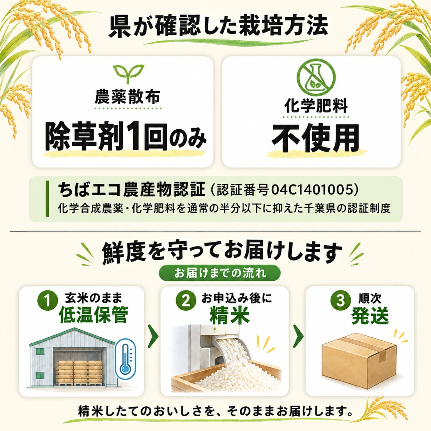 【ふるさと納税】【緊急支援・数量限定】米 10kg コシヒカリ 令和7年産 白米 5kg×2袋 千葉県神崎町産 ちばエコ農産物認証 単一原料米 検査1等米注文後精米 栽培期間中化学肥料不使用 こうざき自然塾 お米 こめ 送料無料 [014-a037] f123421-kozaki-10000031 千葉県神崎町 サンプル画像3