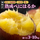 【ふるさと納税】<先行予約> 神崎町産 べにはるか さつまいも 3~10kg【訳あり 無選別 / 土付き / 洗い】(5~12月受付分は翌年1月中旬以降発送)|さつま芋 焼き芋 焼きいも イモ 芋 紅はるか 10kg 5kg 3kg 訳アリ しっとり 濃厚 蜜 スイートポテト にも ファームおせげん