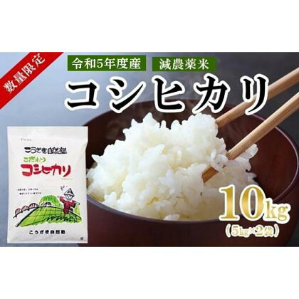 令和5年産こうざきコシヒカリ（減農薬米）白米10kg（5kg×2袋）（千葉県神崎町産　精米　小分け　丁度いい　）