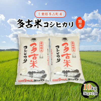 楽天ふるさと納税　【ふるさと納税】【令和5年産】多古米コシヒカリ　精米10kg(5kg×2袋)【配送不可地域：離島・沖縄県】【1030393】