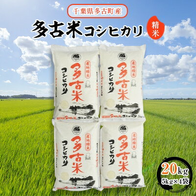 【ふるさと納税】【令和5年産】多古米コシヒカリ　精米20kg(5kg×4袋)【配送不可地域：離島・沖縄県】...