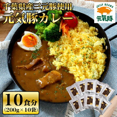 【ふるさと納税】【千葉県産三元豚使用】元気豚 カレーセット　2kg(200g×10食分)【配送不可地域：離島...