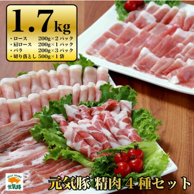 千葉県産豚肉 元気豚 精肉4種セット 1.7kg[配送不可地域:離島・沖縄県]